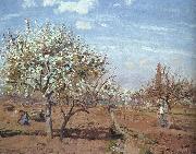Camille Pissaro Orchard in Bloom at Louveciennes china oil painting artist